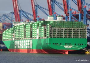 Ever Eco (369m x 54m)